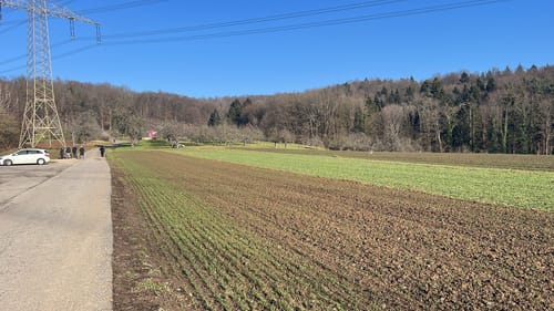Durch das Landschaftsschutzgebiet Schurwaldrand