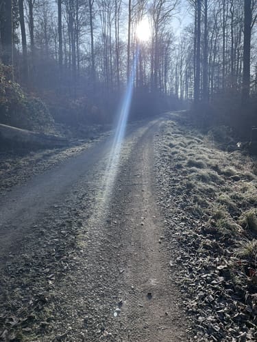 Durch das Landschaftsschutzgebiet Schurwaldrand