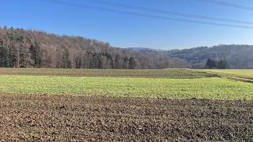 Durch das Landschaftsschutzgebiet Schurwaldrand