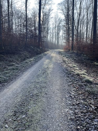 Durch das Landschaftsschutzgebiet Schurwaldrand