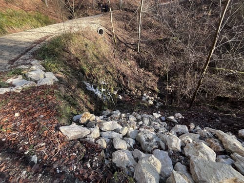 Durch das Landschaftsschutzgebiet Schurwaldrand