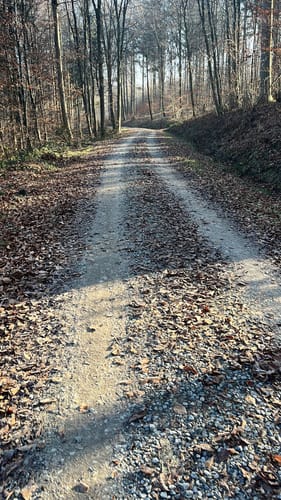 Durch das Landschaftsschutzgebiet Schurwaldrand