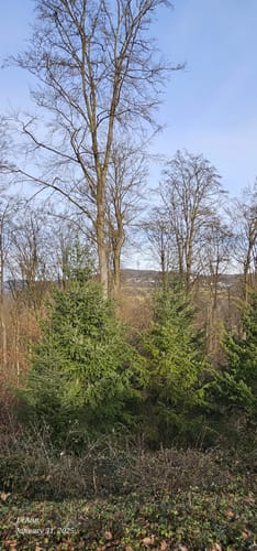 Hammersberg Rundweg