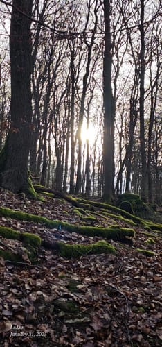 Hammersberg Rundweg