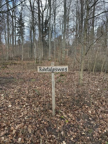 Rundwanderung im Hardtwald