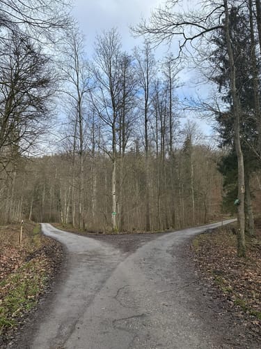 Rundwanderung im Hardtwald