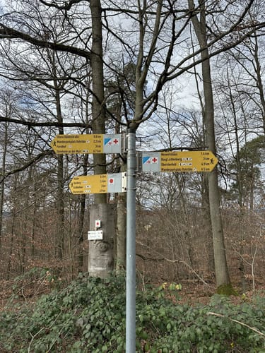 Rundwanderung im Hardtwald