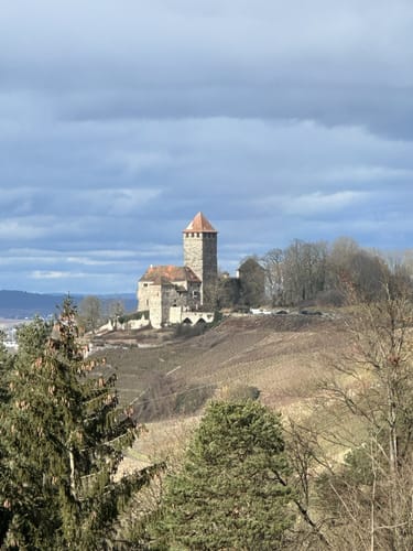 Rundwanderung im Hardtwald