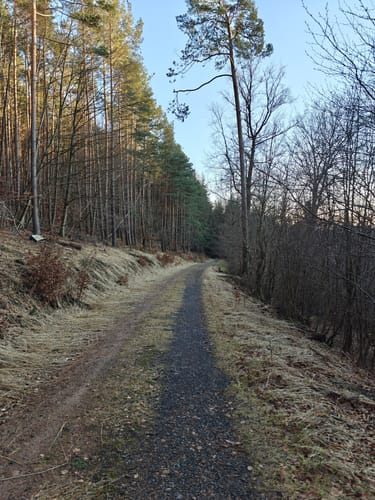 Ortswanderweg Flörsbachtal 4