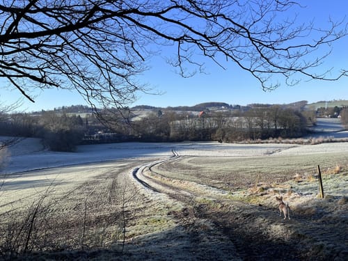 Bergerhof Rundweg A5
