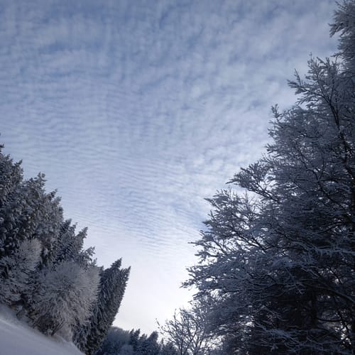 HOCHGEHBERGE "hochgehsprudelt" (Premiumwanderweg)
