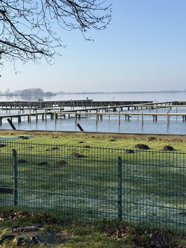 Wanderweg Dümmerdeich