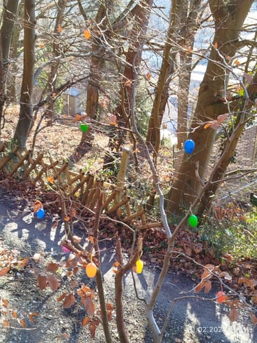 Rundwanderweg Rüdenau 1 : Rüdenauer Bergwanderweg