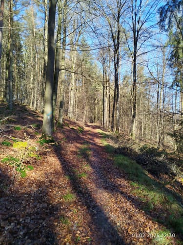 Rundwanderweg Rüdenau 1 : Rüdenauer Bergwanderweg