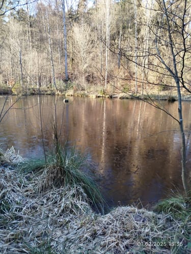 Rundwanderweg Rüdenau 1 : Rüdenauer Bergwanderweg