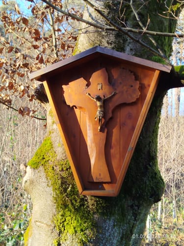 Rundwanderweg Rüdenau 1 : Rüdenauer Bergwanderweg