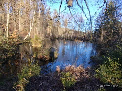 Rundwanderweg Rüdenau 1 : Rüdenauer Bergwanderweg