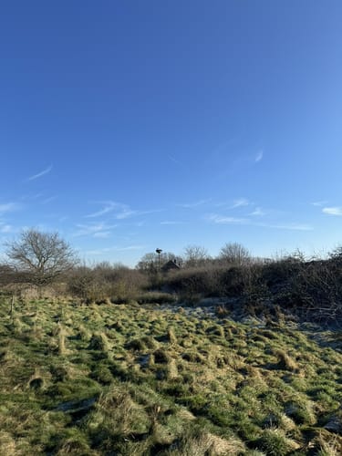 Wisseler Dünen