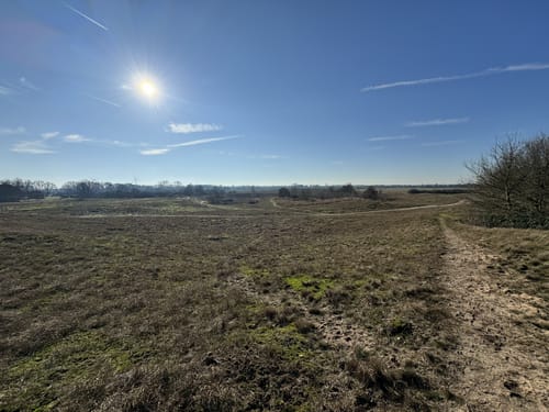 Wisseler Dünen