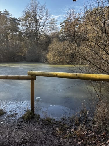 NSG Gießener Bergwerkswald