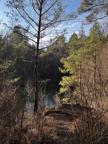 NSG Gießener Bergwerkswald