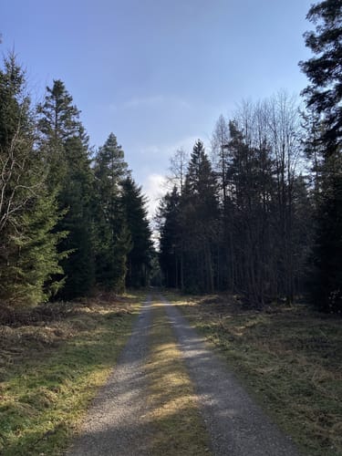 Mittelsbach-Runde
