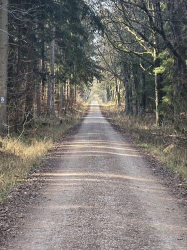 Heilsbronner Rundweg 2