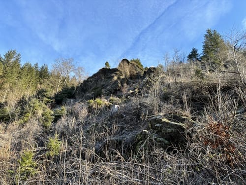 Bad Laasphe - Kompass Rundweg