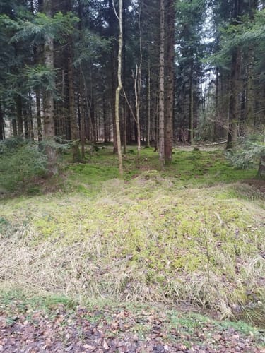 Christertshofen - Rennertshofen (Kreis Neu-Ulm Tour Nr. 20)