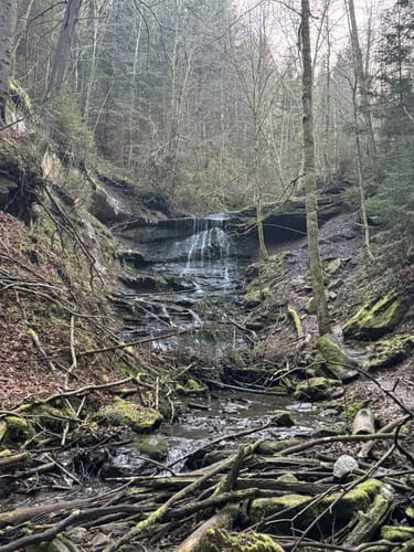 Hörschbachwasserfälle