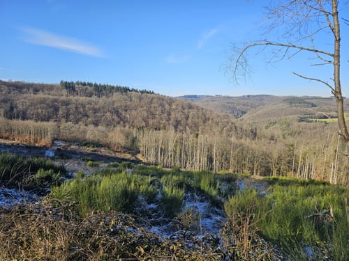 Langscheider Wacholderblick (Premiumspazierwanderweg)