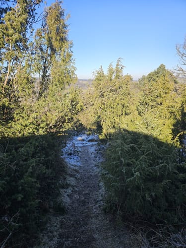 Langscheider Wacholderblick (Premiumspazierwanderweg)