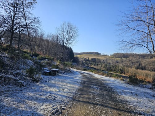 Langscheider Wacholderblick (Premiumspazierwanderweg)