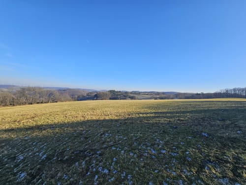 Langscheider Wacholderblick (Premiumspazierwanderweg)