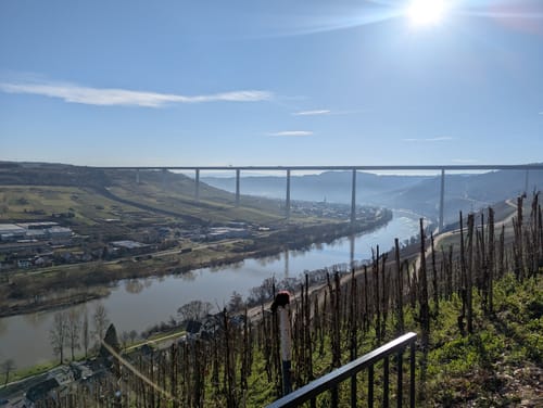 Von Ürzig zum Leizenberg und dem Moselblick