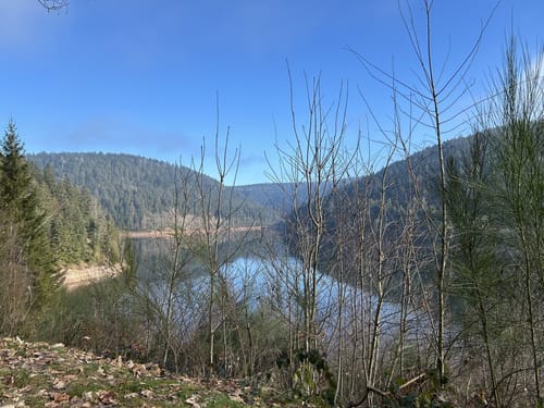 Am Ostufer der Talsperre Kleine Kinzig