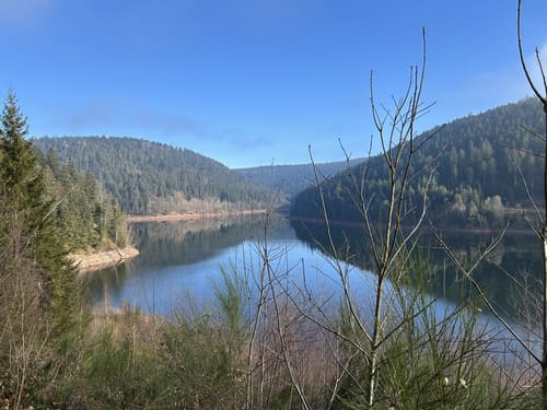 Am Ostufer der Talsperre Kleine Kinzig