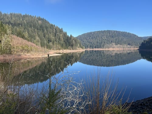 Am Ostufer der Talsperre Kleine Kinzig