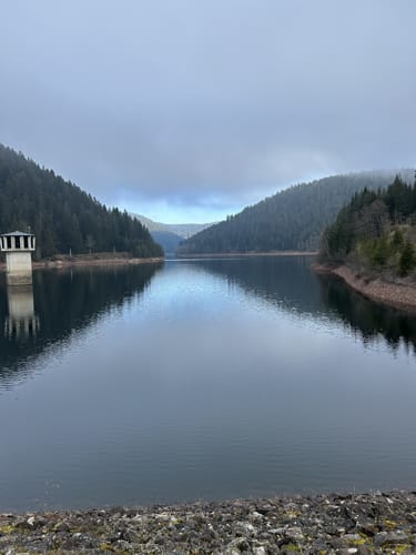 Am Ostufer der Talsperre Kleine Kinzig