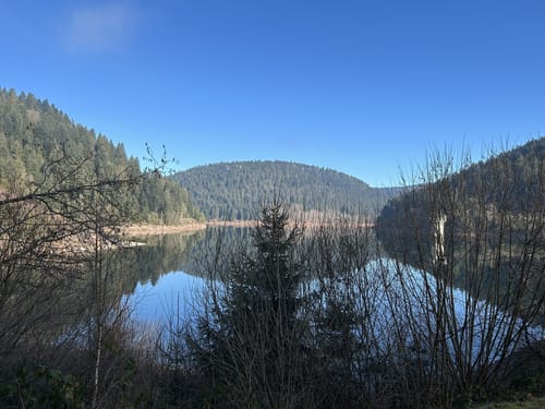 Am Ostufer der Talsperre Kleine Kinzig