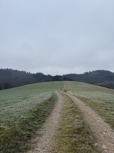Rundwanderweg Gorxheimertal 5: Sonnen-Weg