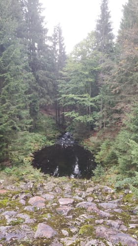 Rund um die Talsperre Frauenau