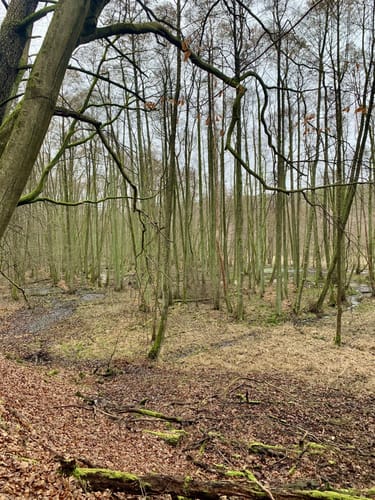 Von Siehdichum durchs Schlaubetal bis zum Wirchensee