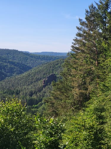 Hauensteiner Schusterpfad (Premiumwanderweg)