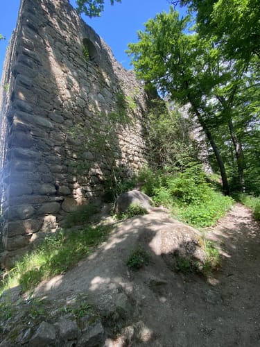 Marienthal nach Hirschling