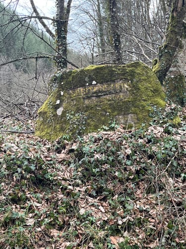 Erfenstein: Drei Burgenweg