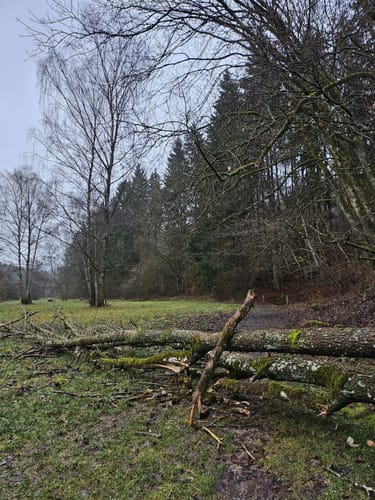 Eifelsteig Etappe 6: Steinfeld - Blankenheim