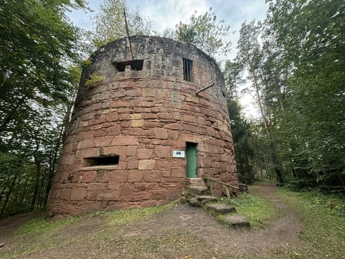Erlenbach - Burg Berwartstein - Seehofweiher