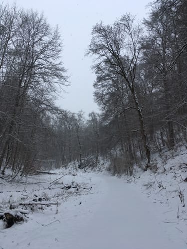 Zur Burg Reichenstein entlang dem Wolfstal