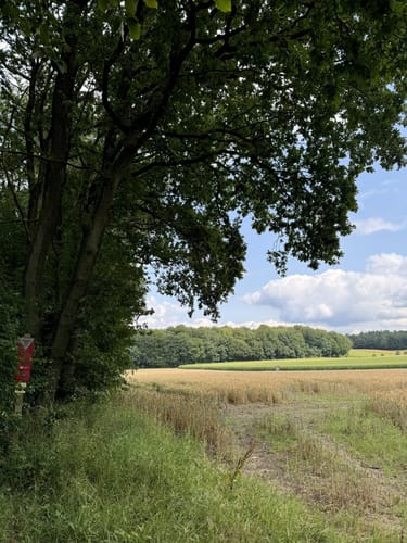 Heidschnuckenweg Etappe 1: Fischbek - Buchholz in der Nordheide